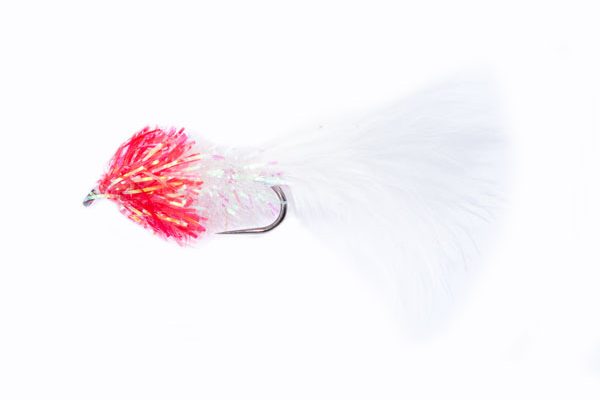 Fritz Bibby White & Red