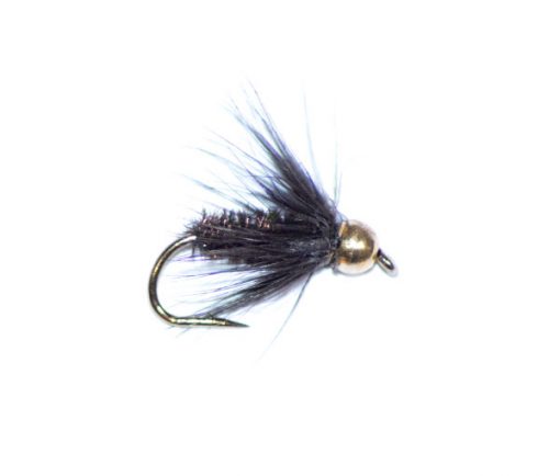 Black and Peacock Goldhead
