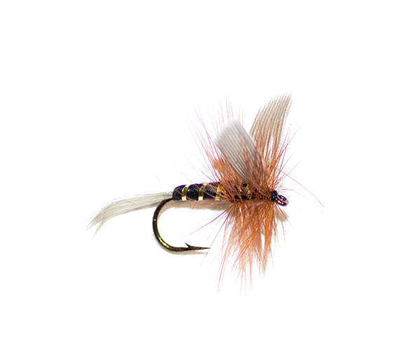 Black Spinner traditional dry fly from fish fishing flies