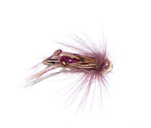 Claret Hackle Hopper Goldhead - Image 3