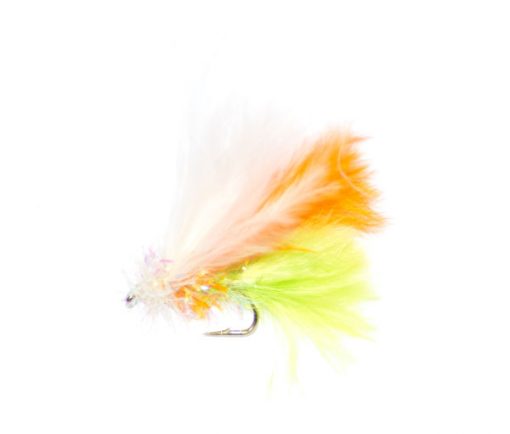 Fritz Consett Budgie - Image 3