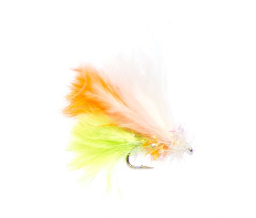 Fritz Consett Budgie