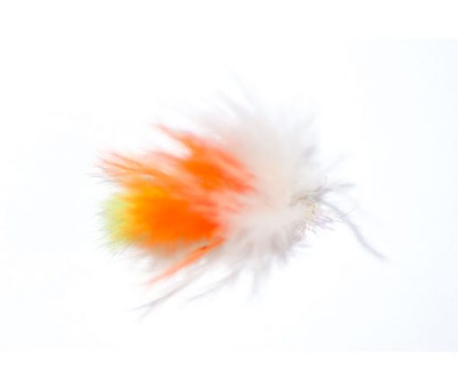 Fritz Consett Budgie - Image 2