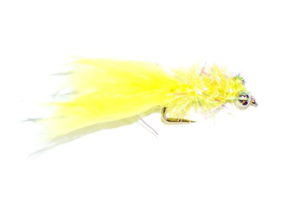 fritz gladiator lime