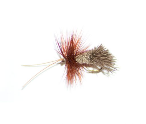 Goddard Caddis Horned Sedge traditional dry fly - Image 2