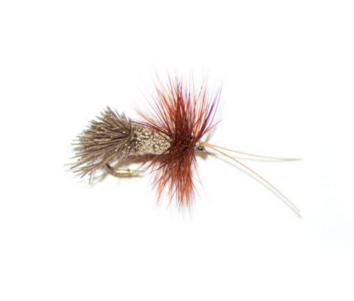 Goddard Caddis Horned Sedge traditional dry fly