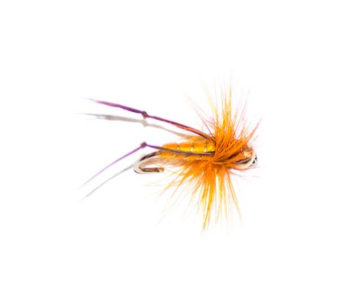 Orange Hopper Goldhead - Image 3
