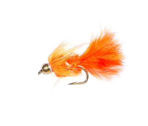 Tadpole Orange Goldhead - Image 2