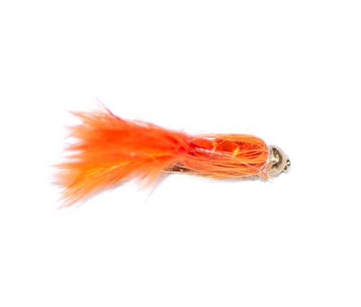 Tadpole Orange Goldhead - Image 3