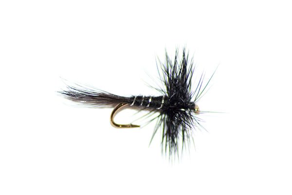 fishing flies dry fly type williams favourite