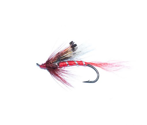 Ally's Shrimp Salmon Single - Image 2
