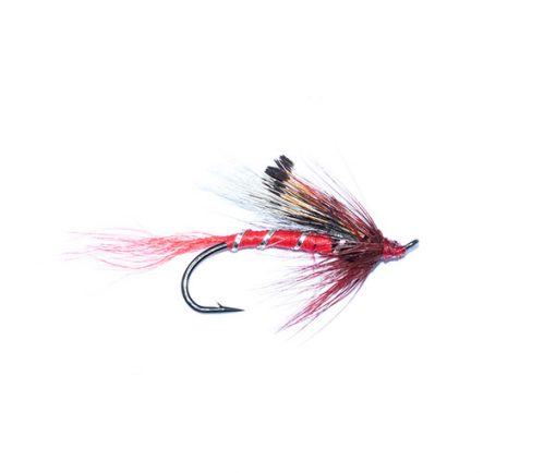 Ally's Shrimp Salmon Single
