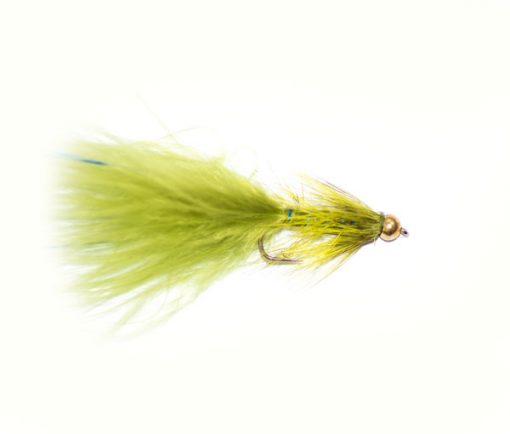 Blue flash damsel goldhead