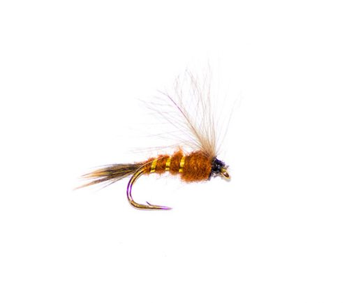 Brown nymph CDC