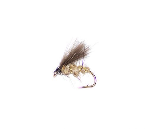 Emerging gold ribbed hare's ear CDC - Image 2