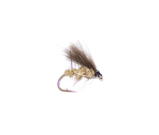 Emerging gold ribbed hare's ear CDC