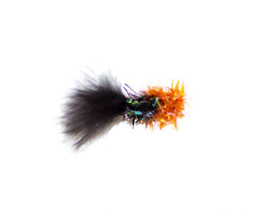 Fritz Bibby Black & Orange - Image 4