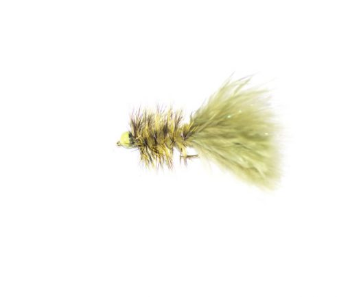 Hot Taddy Olive and Green - Image 2