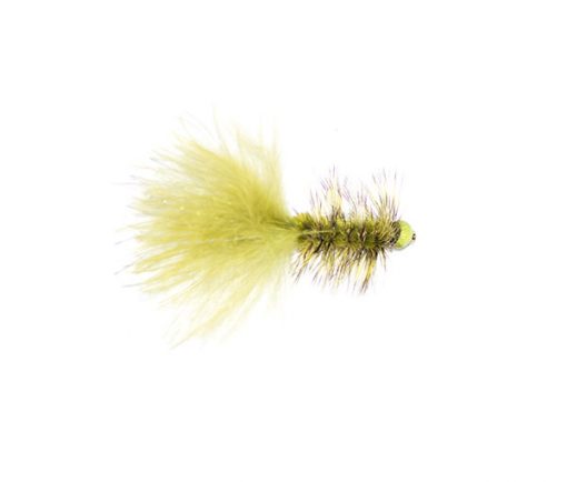 Hot Taddy Olive and Green - Image 4