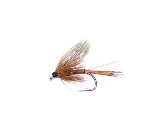 Red quill winged - Image 2