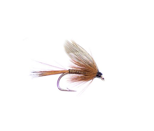 Red quill winged