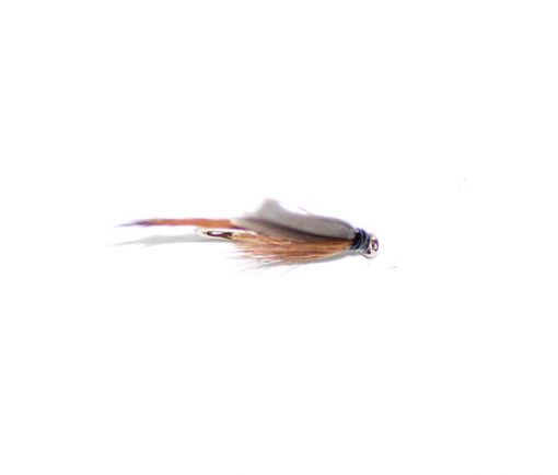 Red quill winged - Image 4