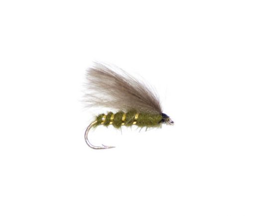 Rough Olive CDC