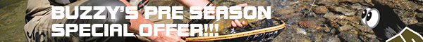 fish fishing flies