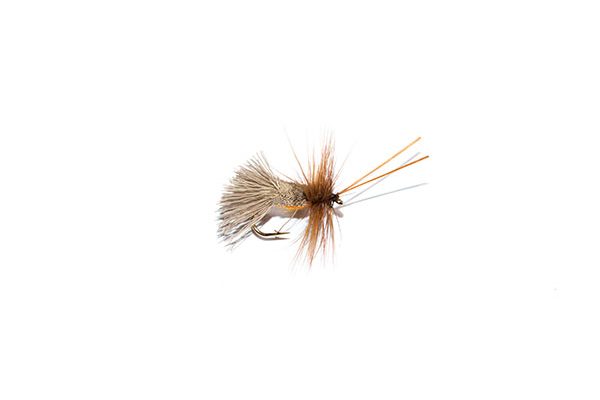 Deer Hair Sedge