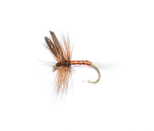 fishing flies brown spinner dry fly winged