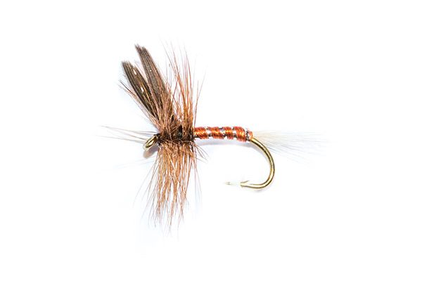 fishing flies brown spinner dry fly winged