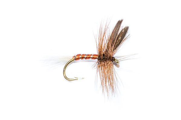 fishing flies brown spinner with brown body