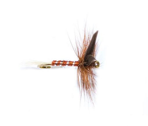 Brown Spinner Winged - Image 4