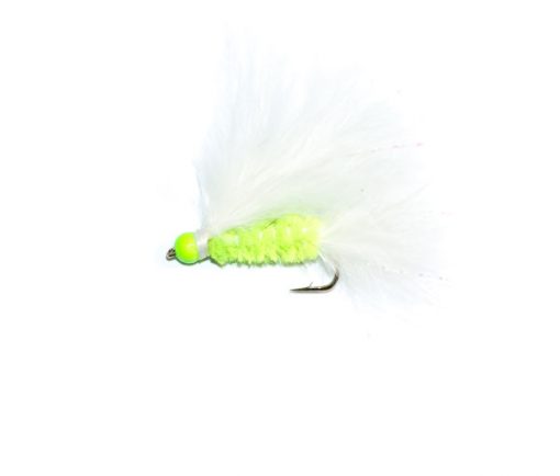 Cats Whiskers Hothead