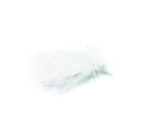 Cats Whiskers Hothead - Image 4