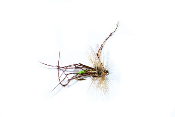 natural daddy long legs lime tip