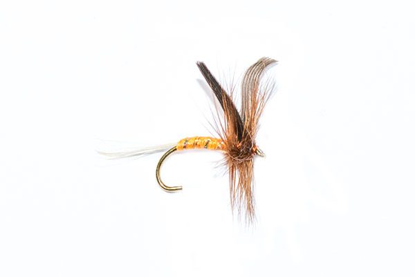 fishing flies orange spinner winged dry fly