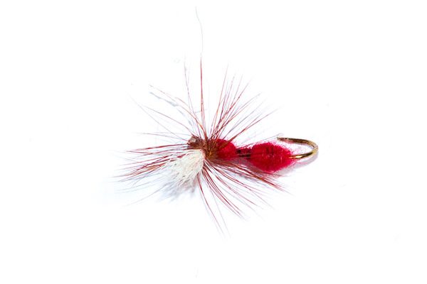 fishing fly red ant parachute flies