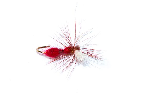 fishing flies red ant parachute