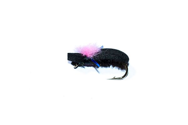 fishing flies Target Foam Beetle Pink blue Holographic