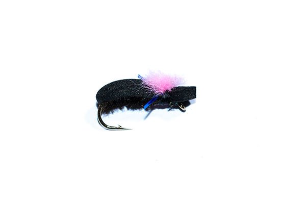 trout fishing Target Foam Beetle Pink blue Holographic