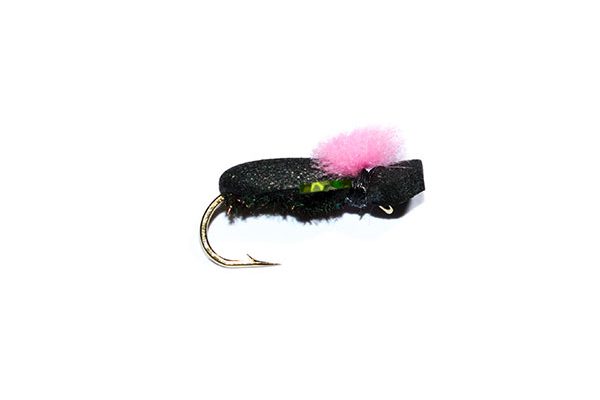 Target Foam Beetle Pink Green Holographic