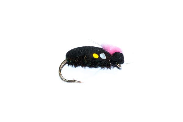 fishing flies Target Foam Beetle Pink SJC Jungle Cock Cheeks