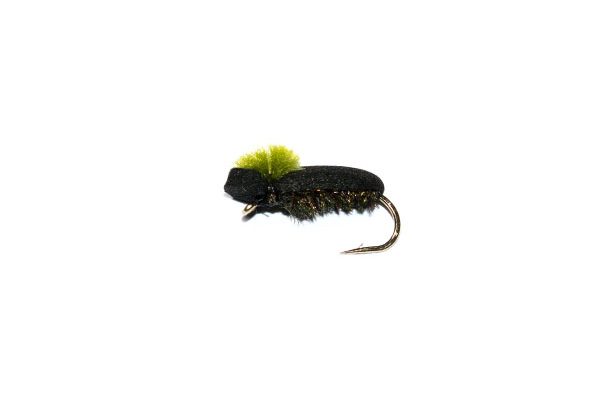 trout fishing flies Target Foam Beetle Olive