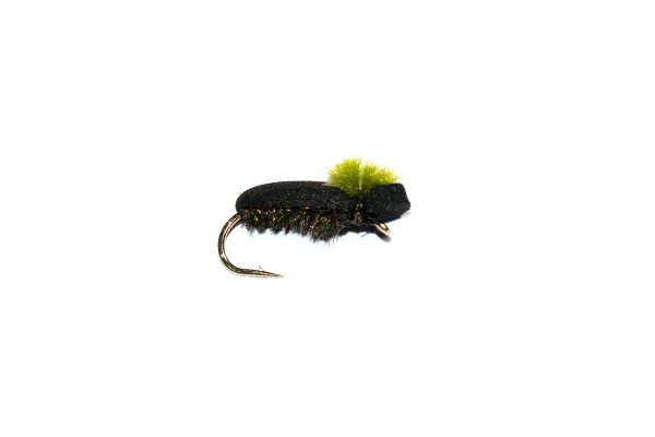 trout fishing flies Target Foam Beetle Olive