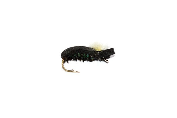 fishing fly Target Foam Beetle White Pearly