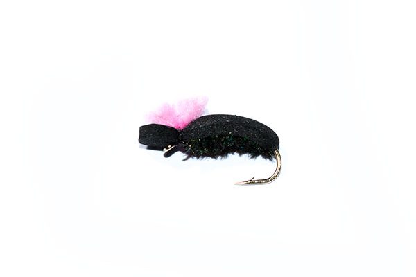 trout fishing fly Target Foam Beetle Pink