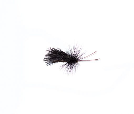 Black Horned Deer Hair Sedge - Image 4