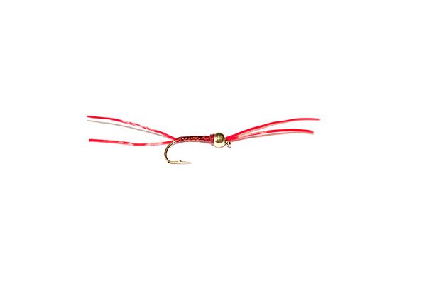 Fishing Fishing Flies Trout Fly Range Red Holographic Gold Head Blood Worm