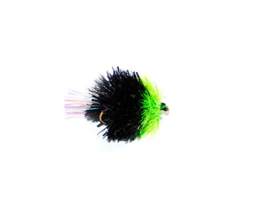 Blob Viva - Image 4